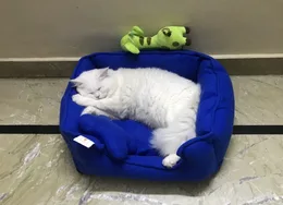 Photo: Rio asleep in his round bed, curled up with his tail over his nose