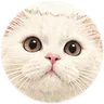 Painting: petmodoro-icon-face-small.png, Rio’s face icon on paper