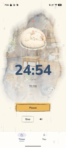 Screenshot: Focus with rain