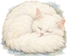 Rio asleep on his side, his plume tail curled around him