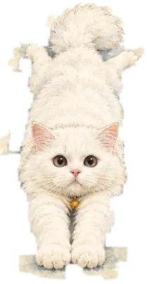 Rio stretched out long on the floor, front paws reaching forward