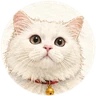 Painting: petmodoro-icon-face-256.png, Rio’s face icon on paper